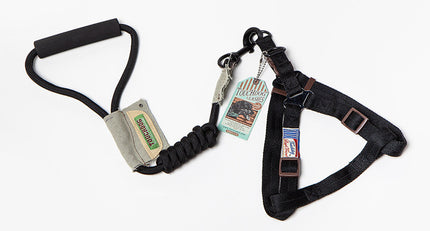 Nylon Dog Leash Vest - Heavy-Duty for Small and Large Dogs - petpexi.com