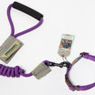 Purple / Collar / L