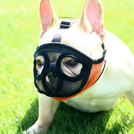 Hoopet Adjustable Breathable Dog Muzzle for Small Dogs – French Bulldog & Short Snout | Petpexi