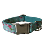 Dog leash