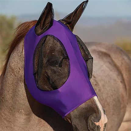 Horse Face Equestrian Universal Mosquito Cover – Premium Protection | www.petpexi.com