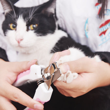 Pet Nail Clippers for Dogs and Cats – Sharp Stainless Steel Blades & Comfortable Grip | Petpexi