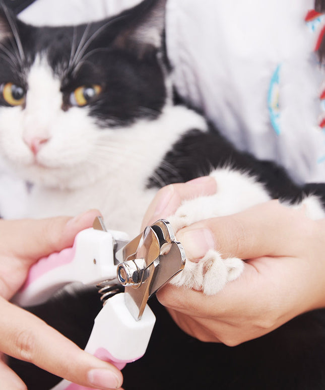 Pet Nail Clippers for Dogs and Cats – Sharp Stainless Steel Blades & Comfortable Grip | Petpexi