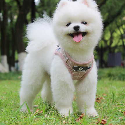 Breathable Mesh Small Dog Harness and Leash – Square Grid Reflective | Petpexi