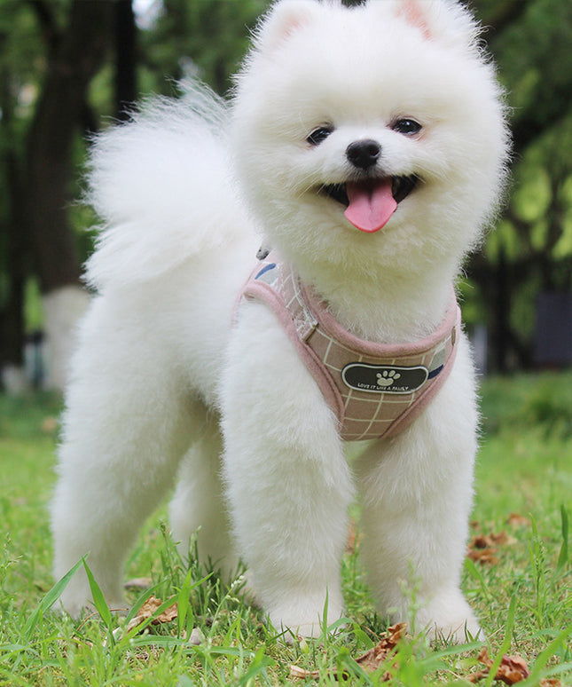 Breathable Mesh Small Dog Harness and Leash – Square Grid Reflective | Petpexi