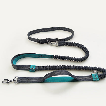 Multi-Function Reflective Elastic Dog Leash with Waist Belt – Hands-Free Control | Petpexi