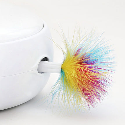 Donut Electric Cat Turntable – Smart Interactive Toy | PetPexi