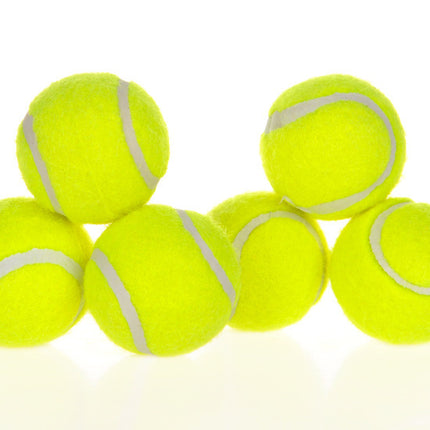 PetPexi Automatic Dog Ball Launcher - Endless Fetch Fun