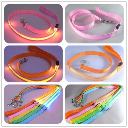 LED Illuminated Reflective Dog Leash – Nylon Pet Leash Rope with Light | petpexi.com