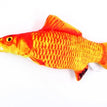 2 / 20cm