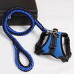 Blue / L