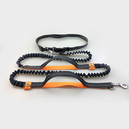 Multi-Function Reflective Elastic Dog Leash with Waist Belt – Hands-Free Control | Petpexi