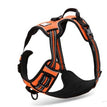 Orange / L