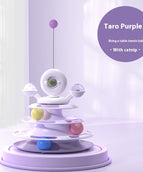 Taro Purple Table Tennis