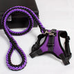 Purple / L