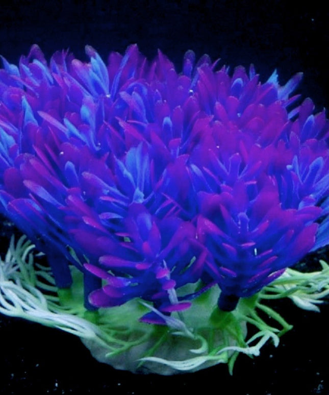 10cm Purple Round Grass Aquarium Decoration – Eco Plastic & Plaster Base | www.petpexi.com