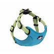 Blue green / L