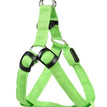 Green / L / Charge