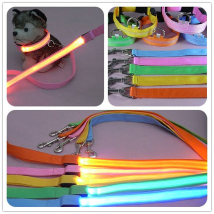 LED Illuminated Reflective Dog Leash – Nylon Pet Leash Rope with Light | petpexi.com