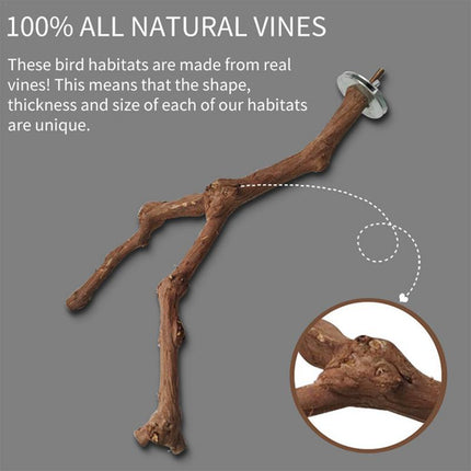 Bird Standing Stick – Natural Grape Wood Habitat for Parrots | PetPexi