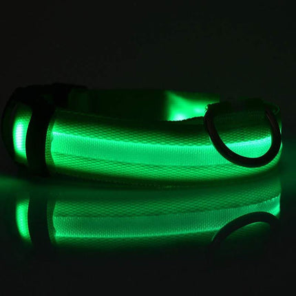 Nylon LED Luminous Dog Collar – Night Safety Flashing Glow Adjustable Pet Collar | Petpexi
