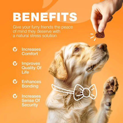 Dog Allergy Relief Chews – Anti-Itch & Skin Relief – Seasonal Allergies & Hot Spots Support – Immune Health – Salmon Oil – Free U.S. Shipping