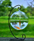 Glass ball23 black bracket