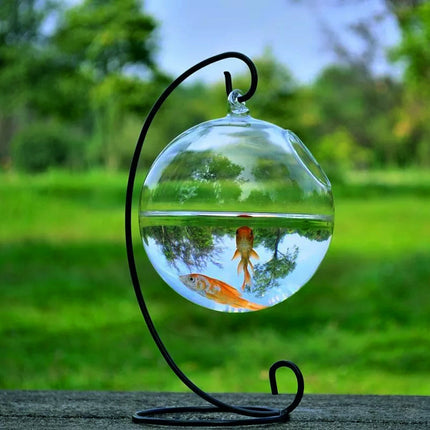 Mini Hanging Glass Vase Fish Tank with Borosilicate Glass | PetPexi