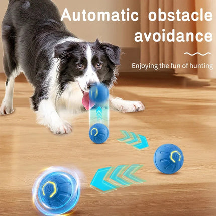 Smart Dog Toy Ball - Interactive USB Rechargeable Pet Toy at PetPexi
