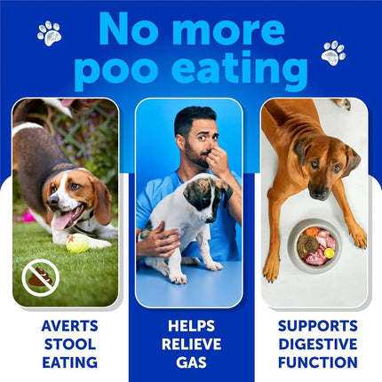 No Poo Chews For Dogs - Coprophagia Stool Eating Deterrent with Probiotics & Enzymes, Gut Health Support