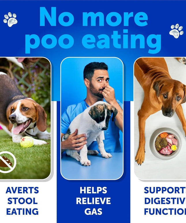 No Poo Chews For Dogs - Coprophagia Stool Eating Deterrent with Probiotics & Enzymes, Gut Health Support