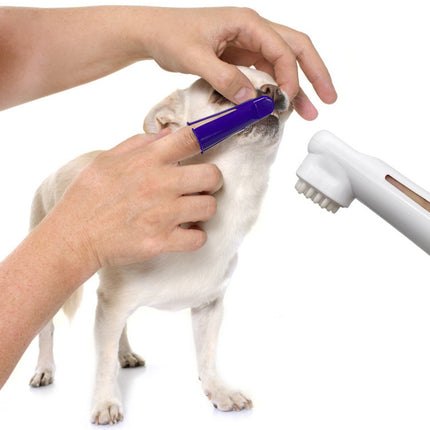 Pet Dog Beef Flavor Toothpaste & Toothbrush Set – Complete Oral Care Kit | Petpexi
