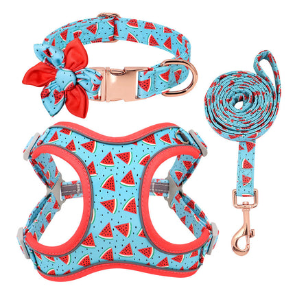 Small Dog Teddy & Corgi Collar with Leash & Strap – Durable & Adjustable | Petpexi