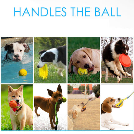 EVA Pet Ball Dog Toy - Interactive Rubber Frisbee & Pull Ring | Petpexi