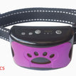 Purple / 2PC