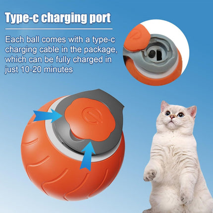 Speedy Tail Interactive Cat Toy – Dual Speed USB Rechargeable Rolling Ball | Petpexi