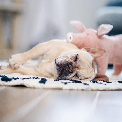 Pet Dog Sleeping Companion Plush Toy – www.petpexi.com