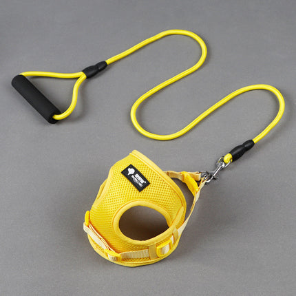 Premium Dog Leash and Collar Set with Foam Handle – Strong Nylon Rope Harness | petpexi.com