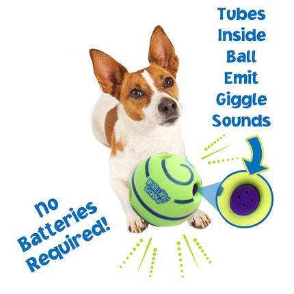 Durable Squeaky Molar Chew Ball for Dogs - Petpexi