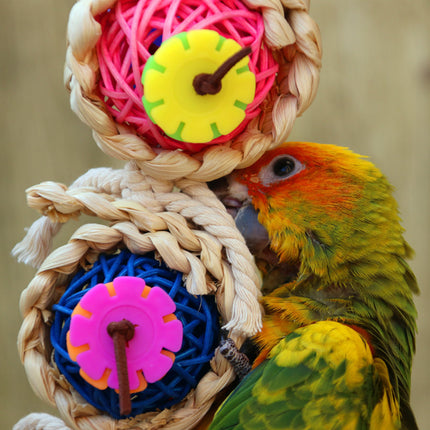 Parrot Supplies Pet Bird Toy – Bite Toy with Vine Twist & Luffa Sponge for Climbing and Chewing