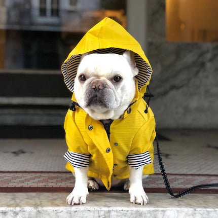 Classic British Style Dog Raincoat – Waterproof Twill Jacket with Breathable Lining | Petpexi