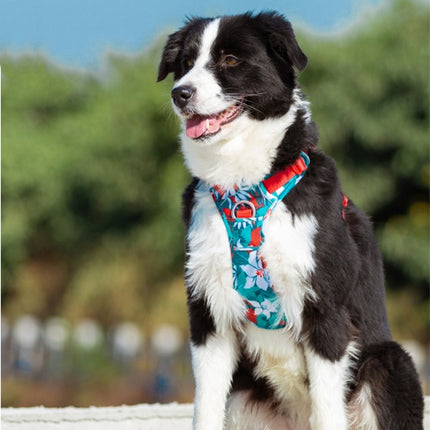 Dog Leashes & Chain Vest Straps – Durable Nylon Harness for All Dog Breeds | Petpexi