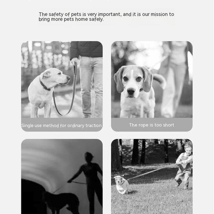 Ring With Light Dog Leash - Automatic Retractable Luminous Pet Leash 3m
