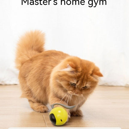 Cat Toy Electric Toy Ball – Interactive Play for Happy Cats | Petpexi