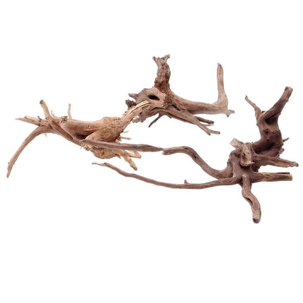 Natural Sunken Tree Root Aquarium Decoration – Premium Landscaping Wood | Fast & Free USA Shipping