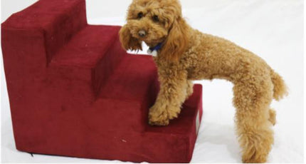 Premium Stuffed Pet Stairs – For Small & Senior Dogs | PetPexi