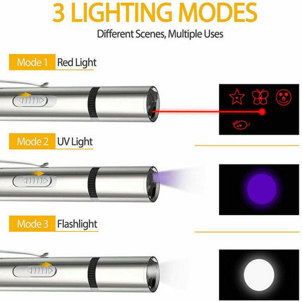 USB Charging Stainless Steel Laser Pointer – 5 Patterns Purple Light Cat Toy | Petpexi