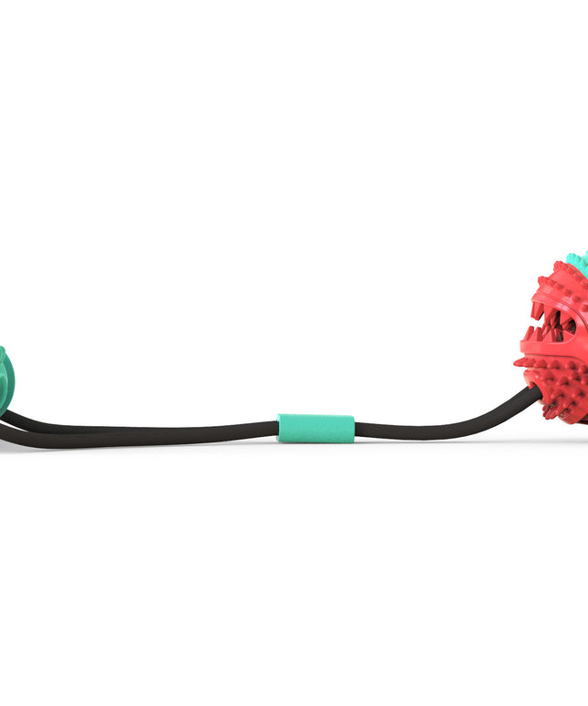 PetPexi Pull Rope Toy with 8.5cm Training Ball & 12cm Molar Stick