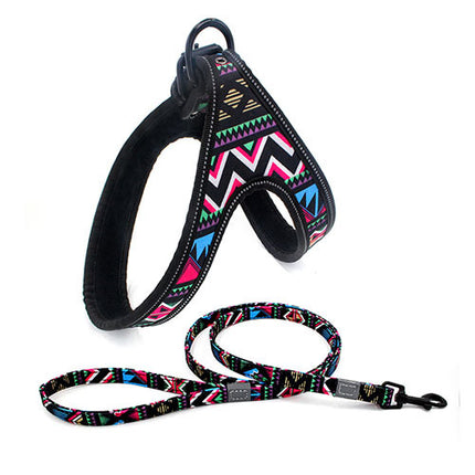 Colorful Dog Leash & Adjustable Harness – Soft, Reflective, Explosion-proof for Small & Medium Dogs | Petpexi
