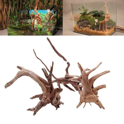 Natural Sunken Tree Root Aquarium Decoration – Premium Landscaping Wood | Fast & Free USA Shipping